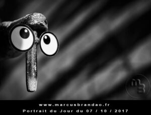 Portrait du jour 2017-10-07, quand les objets prennent vie. En 2017 l’artiste photographe Marcus BRANDAO s’amusera à donner vie à des objets. Portrait du jour 2017-10-07