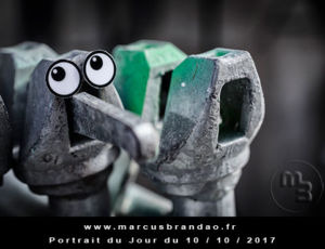 Portrait du jour 2017-10-10 Portrait du jour 2017-10-10
