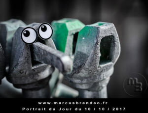 Portrait du jour 2017-10-10, quand les objets prennent vie. En 2017 l’artiste photographe Marcus BRANDAO s’amusera à donner vie à des objets. Portrait du jour 2017-10-10