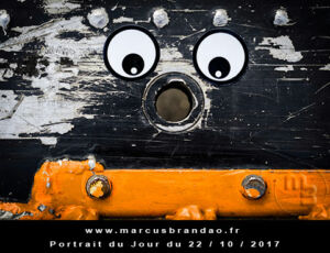 Portrait du jour 2017-10-22, quand les objets prennent vie. En 2017 l’artiste photographe Marcus BRANDAO s’amusera à donner vie à des objets. Portrait du jour 2017-10-22