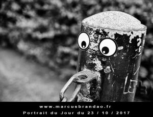 Portrait du jour 2017-10-23, quand les objets prennent vie. En 2017 l’artiste photographe Marcus BRANDAO s’amusera à donner vie à des objets. Portrait du jour 2017-10-23