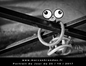 Portrait du jour 2017-10-25, quand les objets prennent vie. En 2017 l’artiste photographe Marcus BRANDAO s’amusera à donner vie à des objets. Portrait du jour 2017-10-25
