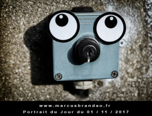 Portrait du jour 2017-11-01, quand les objets prennent vie. En 2017 l’artiste photographe Marcus BRANDAO s’amusera à donner vie à des objets. Portrait du jour 2017-11-01