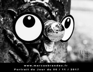Portrait du jour 2017-11-06, quand les objets prennent vie. En 2017 l’artiste photographe Marcus BRANDAO s’amusera à donner vie à des objets. Portrait du jour 2017-11-06