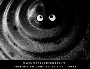 Portrait du jour 2017-11-10, quand les objets prennent vie. En 2017 l’artiste photographe Marcus BRANDAO s’amusera à donner vie à des objets. Portrait du jour 2017-11-10