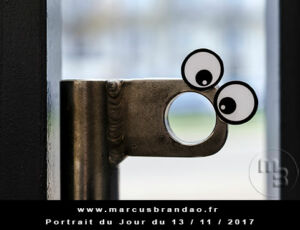 Portrait du jour 2017-11-13, quand les objets prennent vie. En 2017 l’artiste photographe Marcus BRANDAO s’amusera à donner vie à des objets. Portrait du jour 2017-11-13