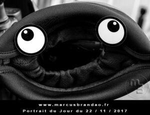 Portrait du jour 2017-11-22, quand les objets prennent vie. En 2017 l’artiste photographe Marcus BRANDAO s’amusera à donner vie à des objets. Portrait du jour 2017-11-22
