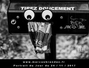 Portrait du jour 2017-11-24, quand les objets prennent vie. En 2017 l’artiste photographe Marcus BRANDAO s’amusera à donner vie à des objets. Portrait du jour 2017-11-24