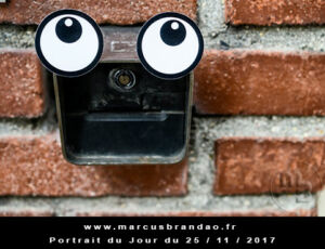 Portrait du jour 2017-11-25, quand les objets prennent vie. En 2017 l’artiste photographe Marcus BRANDAO s’amusera à donner vie à des objets. Portrait du jour 2017-11-25