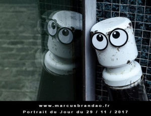 Portrait du jour 2017-11-29 Portrait du jour 2017-11-29