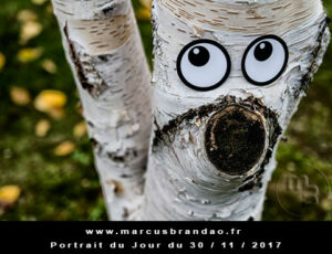 Portrait du jour 2017-11-30, quand les objets prennent vie. En 2017 l’artiste photographe Marcus BRANDAO s’amusera à donner vie à des objets. Portrait du jour 2017-11-30