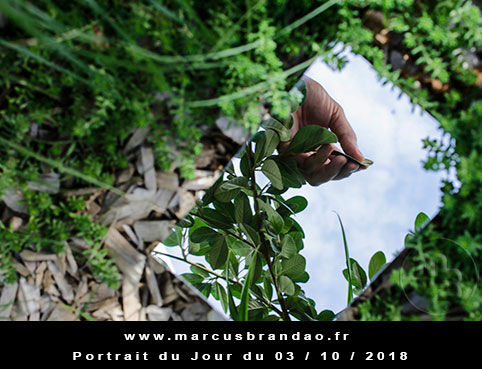 En 2018, Portrait du Jour sera consacré à l’autoportrait avec chaque semaine un thème différent. Portrait du jour 2018-10-03