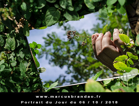 En 2018, Portrait du Jour sera consacré à l’autoportrait avec chaque semaine un thème différent. Portrait du jour 2018-10-06